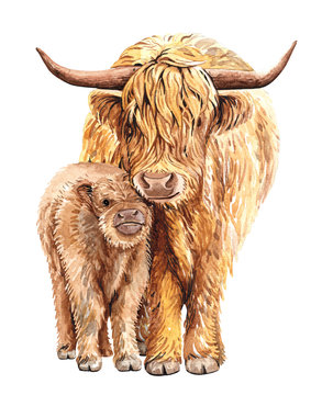 Watercolor Mom and Baby Yak for Baby Shower, Print on Demand, Rose bouquet, Yak digital file clipping path isolated on white background.