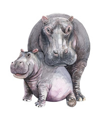 Watercolor Mom and Baby Hippo illustration. Hippopotamus paint. Hippo paint clip art, T-shirt, Baby shower isolated on white background. This has clipping path.