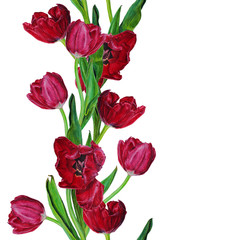 Obraz premium Red tulips flowers seamless watercolor floral pattern on a white background