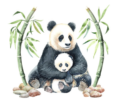 Watercolor Mom and Baby Panda with Bamboo and stone for Baby shower, POD, Panda digital file Panda watercolor clipping path isolated on white background.