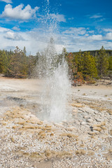 Vixen Geyser in Yellowstone National Park