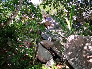 Seychellen, Karibik, Malediven, Mauritius, Reunion, Hawaii, Strand, Meer, Sonne, Urlaub, Reisen, Ferien, Palmen, Beach, Tropisch, Insel, Himmel, Wasser, Sommer, Paradies, Dschungel, Küste
