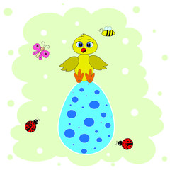 cute chicken egg illustration vector