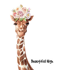 Watercolor giraffe, Giraffe with flower crown paint for Baby Shower, POD, Rose bouquet, Giraffe clipping path isolated on white background.