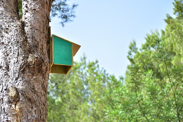 wooden birdhouse for birds on a tree