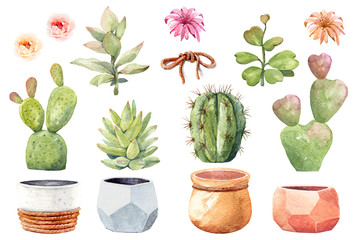 Watercolor collection cactus cacti and succulents in pots. Cactus Paint, Clipping path.