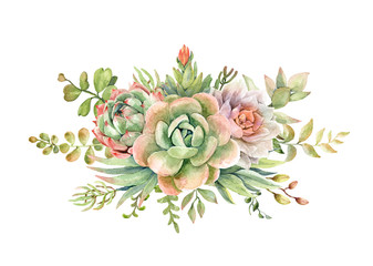 Watercolor collection cactus cacti and succulents in stones. Botanic composition layer path, di-cut alpha path clipping path isolated on white background for wedding greeting card.