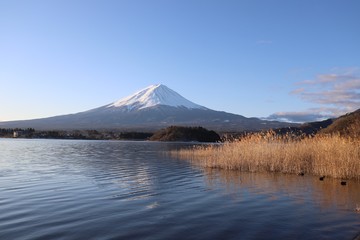 河口湖からの富士山