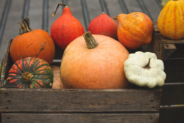 wooden box with pumpkins