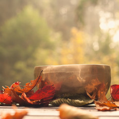 singing bowl made of seven metals surrounded of colorful autumn leaves