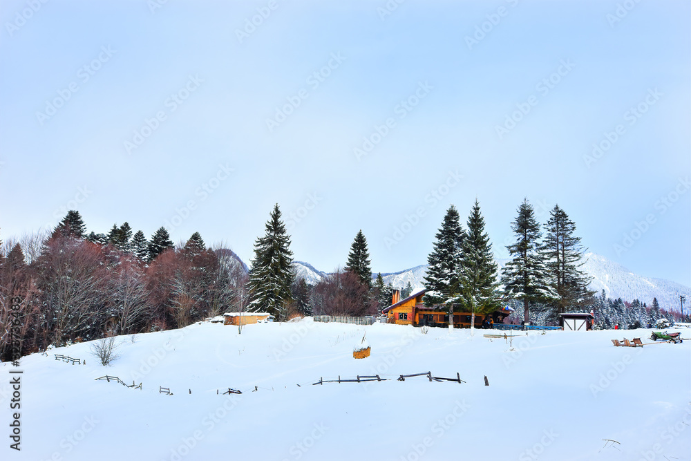 Canvas Prints Recreation area on the road between Trei Brazi chalet and Secuilor chalet at over 1000m and 5 km from the Predeal Ski Resort , Prahova Valley, Bucegi mountains, Romania.