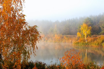 Fototapeta na wymiar Panoramic landscape with forest lake in autumn rainy day