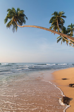 Tropical Island Waterscape