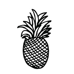  Vector illustration. Close-up of exotic pineapple fruit on an isolated white background.Design for coloring, cover, print of clothes.