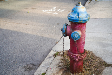 Fototapeta na wymiar アメリカの消火栓