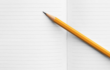 simple orange pencil on a spread of blank pages of a school notebook, concept back to school,...