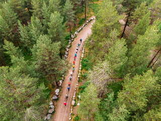 Nordic walking, senior active elderly people involved in sports go outdoor park. Aerial top view