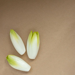 raw chicory fresh root on the craft background