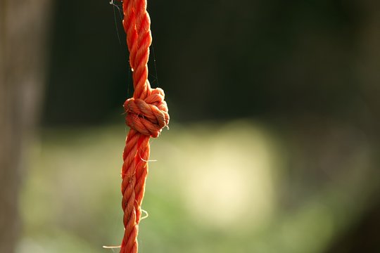Noeud corde