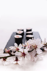 Stock photo of Sakura flower with Maki sushi on a black slate tray all on a white background. © REFLEJAARTE 