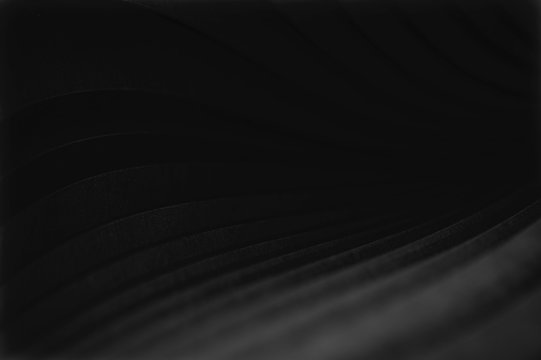 17 Beautiful black wallpapers for iPhone Free download  iGeeksBlog