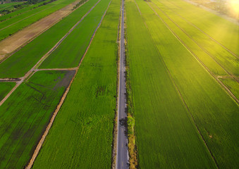  agricultural parcels of different crops. Aerial view shoot from drone directly above field