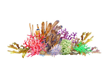 Reef with colorful corals, sponge, anemone and shell. Underwater landscape, hand drawn watercolor.