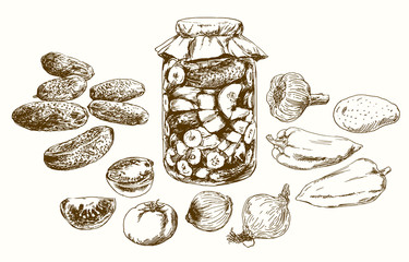 Jar with pickled vegetables. Hand drawn set.