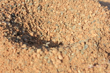 Sand pit, the result of insect activity