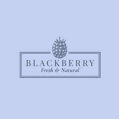Blackberry Abstract Vector Sign, Symbol or Logo Template. Hand Drawn Berries Sillhouette Sketch with Elegant Retro Typography and Frame. Vintage Luxury Emblem.