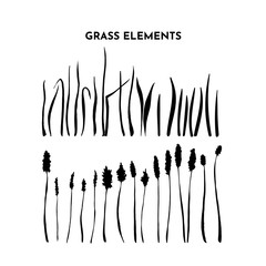 Grass silhouettes set. Wild spikelet collection. Hand drawing of meadow herbs or field plants. Black contour isolated on white. Vector sketch