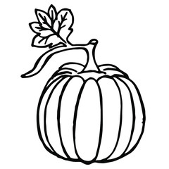  Vector illustration. Close-up of vegetables, pumpkin on an isolated white background.Design for coloring, cover, print of clothes.