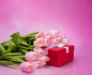 bouquet of pink tulips and a red box with a gift on a pink background