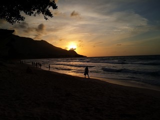 Seychellen, Karibik, Malediven, Mauritius, Reunion, Hawaii, Strand, Meer, Sonne, Urlaub, Reisen, Ferien, Palmen, Beach, Tropisch, Insel, Himmel, Wasser, Sommer, Paradies, Dschungel, K&uuml;ste