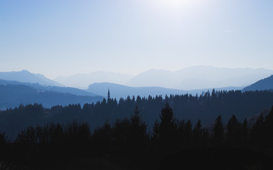 Strati di montagne con pini al tramonto 