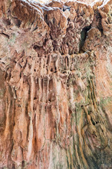 Canyon Gorge. Barrancas de Gebas. Totana. Murcia. Spain.