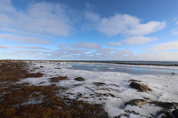 Arctic landscape with ice forming near a small lake and blue sky and clouds in the background, near...