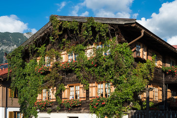 Fototapeta na wymiar Wohnhaus mit wildem Wein bewachsen in Oberstdorf