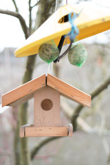 bird box in the wind