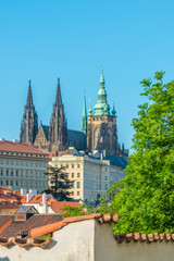 Naklejka premium Top view to red roofs and green trees skyline of Prague city Czech republic.