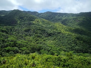 Seychellen, Karibik, Malediven, Mauritius, Reunion, Hawaii, Strand, Meer, Sonne, Urlaub, Reisen, Ferien, Palmen, Beach, Tropisch, Insel, Himmel, Wasser, Sommer, Paradies, Dschungel, Küste