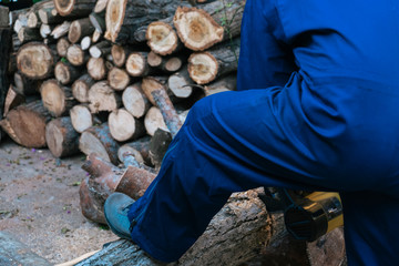 Man working with a chainsaw sawing a large log, harvesting firewood.