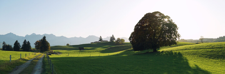 Landschaft bei Rieden am Forggensee