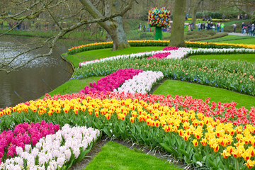 Frühlingswiese Blumen