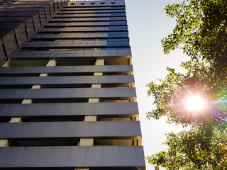 Evening shot of sun light with green tree nature with high rise building in business urban area. Ground shot.