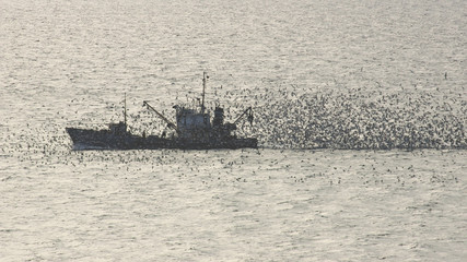 boat in the sea