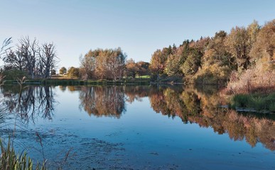 Wasserspiegelung amSee