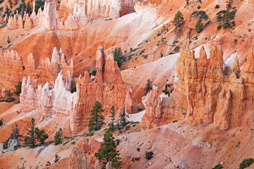 Bryce-Canyon-Nationalpark_Utah