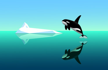 black young killer whale jumps out of the water, seascape with white  iceberg, specular water surface with reflections & blue sky, color vector illustration in cartoon & clip art style