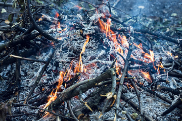 Farmer burns green waste in the concept of bonfire, bonfire outdoors, agriculture. Fallen leaves, branches and household trash burns in an autumn fire